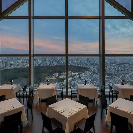 Park Hyatt Tokyo-2